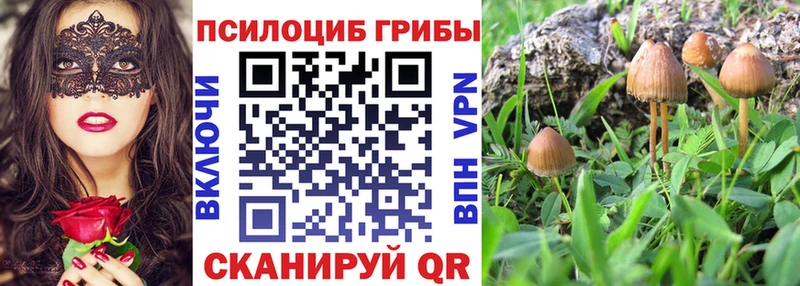 Галлюциногенные грибы мицелий  Купить  Саянск 